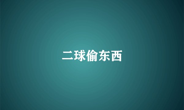 二球偷东西
