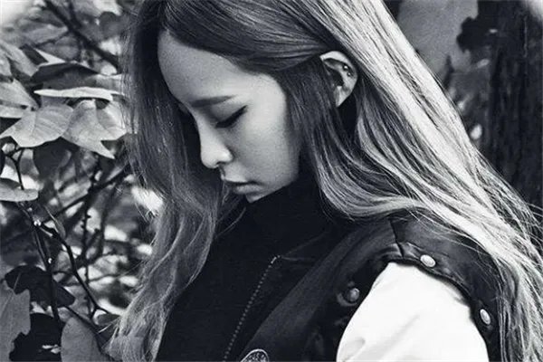 韩国十大女rapper:泫雅上榜,第一嫁给了韩国rap大佬