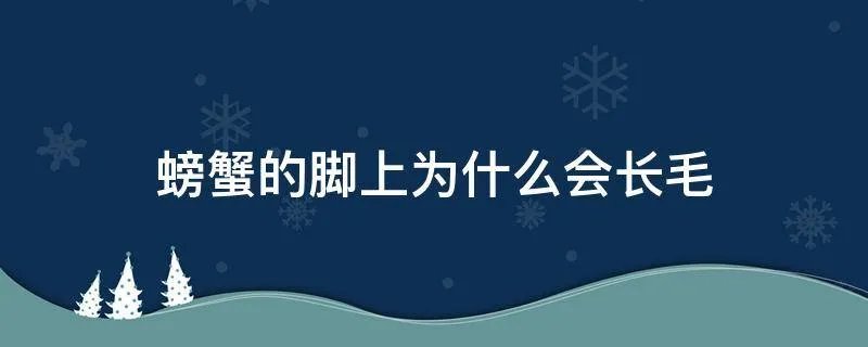 螃蟹的脚上为什么会长毛