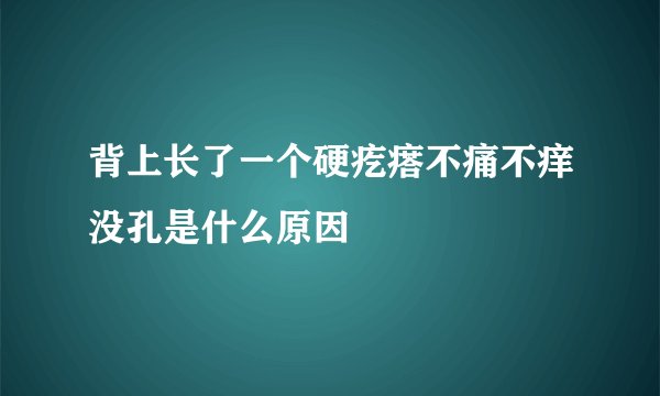 背上长了一个硬疙瘩不痛不痒没孔是什么原因