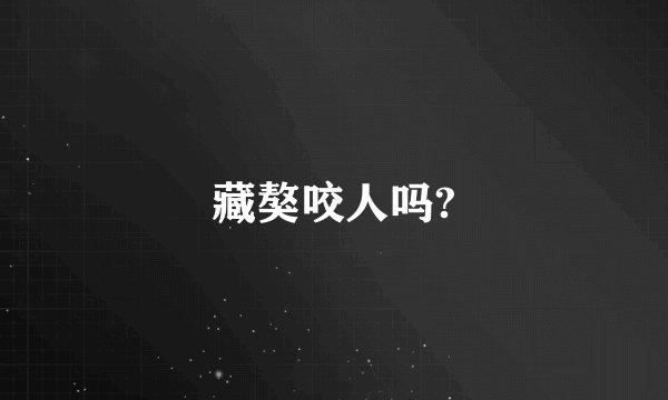 藏獒咬人吗?
