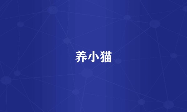 养小猫