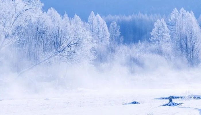 雪白雪白的什么填词语