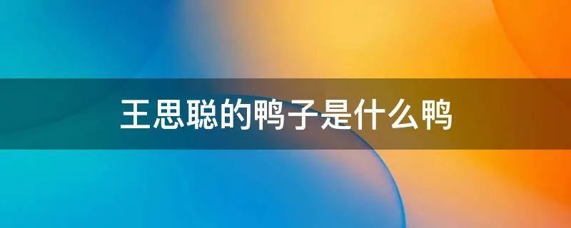 王思聪的鸭子是什么鸭