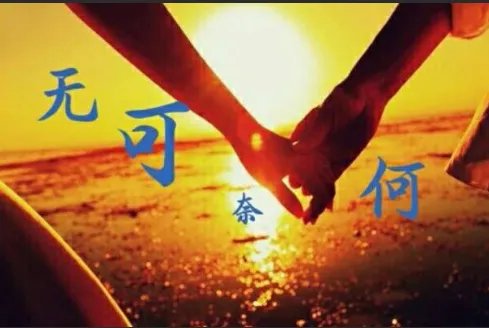 无可奈何造句