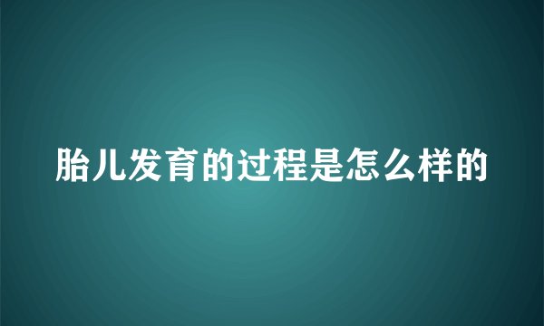 胎儿发育的过程是怎么样的
