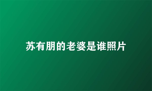 苏有朋的老婆是谁照片