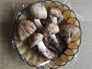 鸡枞菌汤