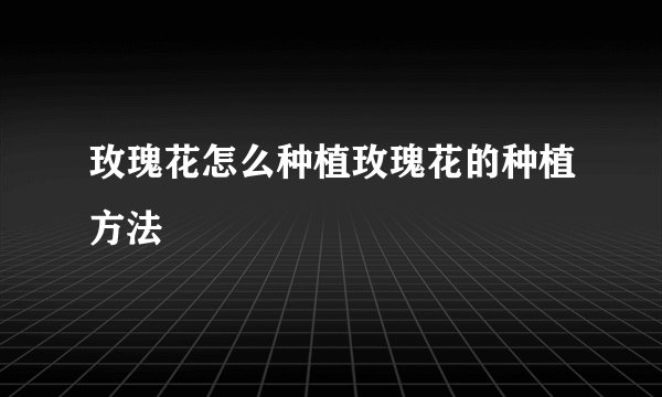 玫瑰花怎么种植玫瑰花的种植方法