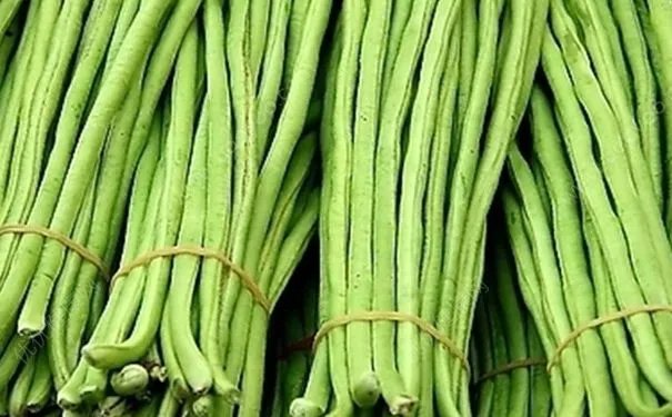 芸豆和豆角的区别