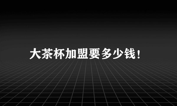 大茶杯加盟要多少钱！