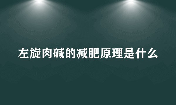 左旋肉碱的减肥原理是什么