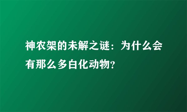 神农架的未解之谜：为什么会有那么多白化动物？