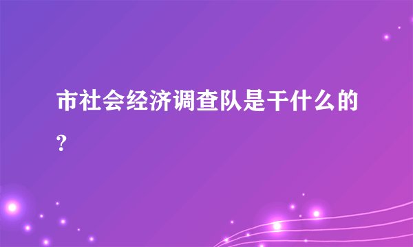 市社会经济调查队是干什么的？