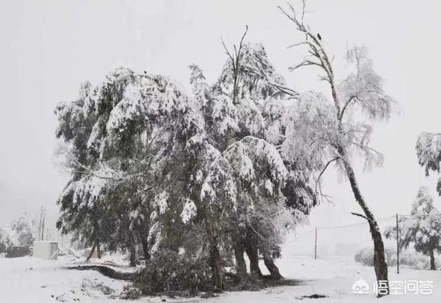 山东,四川等地有冰雹,对农作物损害非常大,你怎么看?