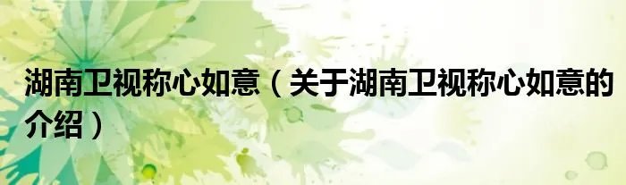 湖南卫视称心如意（关于湖南卫视称心如意的介绍）