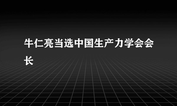 牛仁亮当选中国生产力学会会长