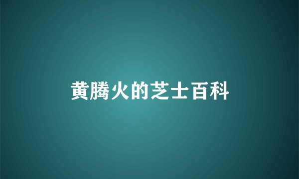 黄腾火的芝士百科