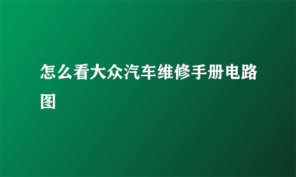 怎么看大众汽车维修手册电路图