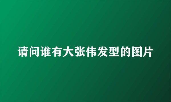 请问谁有大张伟发型的图片