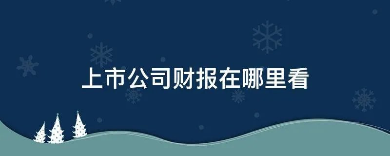上市公司财报在哪里看