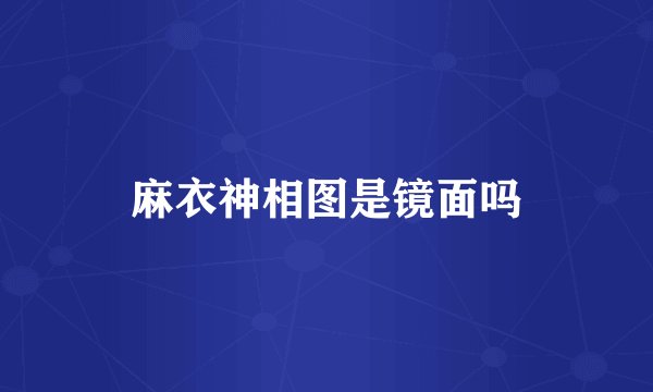 麻衣神相图是镜面吗