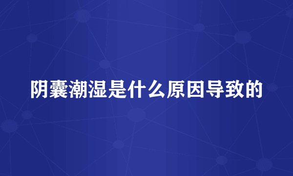 阴囊潮湿是什么原因导致的