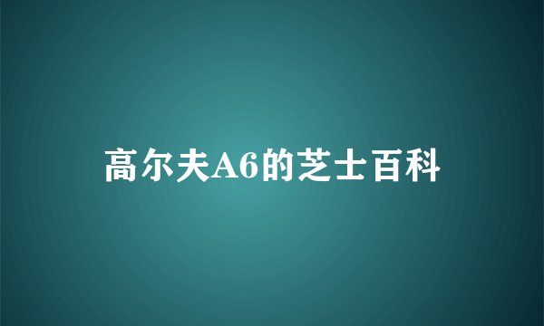 高尔夫A6的芝士百科