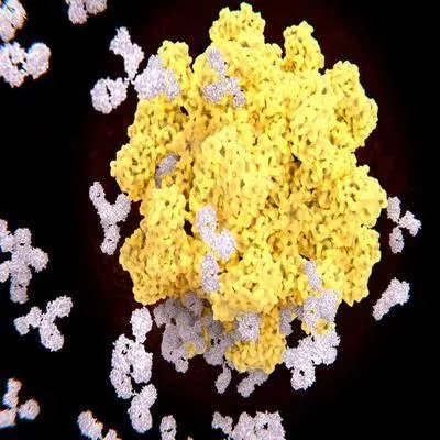 毛细支气管肺炎怎样治疗 三招快速治毛细支气管肺炎