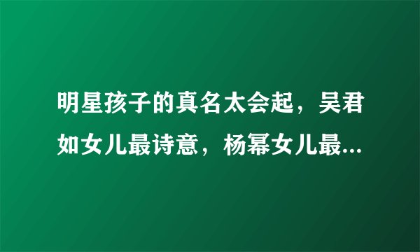 明星孩子的真名太会起,吴君如女儿最诗意,杨幂女儿最“接地气”