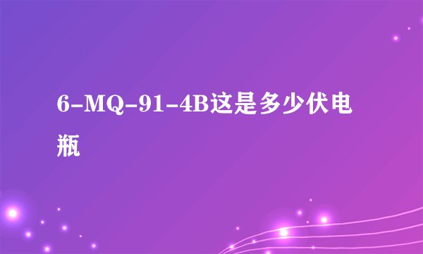 6-MQ-91-4B这是多少伏电瓶