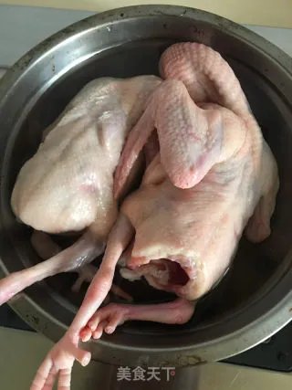 红烧乳鸽