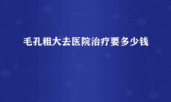 毛孔粗大去医院治疗要多少钱