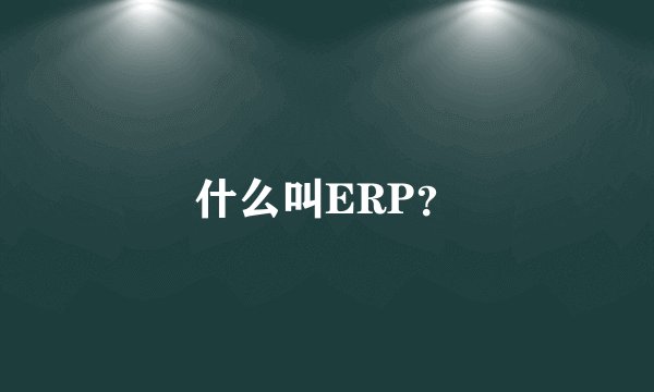 什么叫ERP？