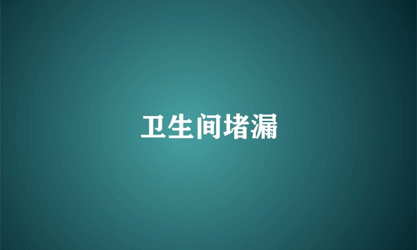 卫生间堵漏