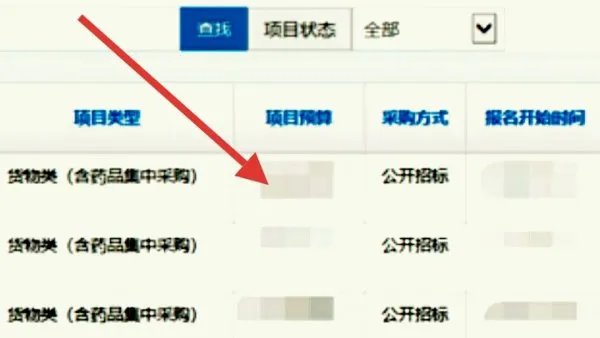 上海市政府采购网上的招标怎么网上投标?