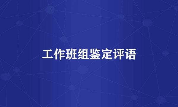 工作班组鉴定评语
