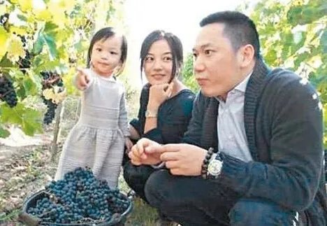 解密赵薇夫妇近况 富豪夫妇财富一年蒸发20亿