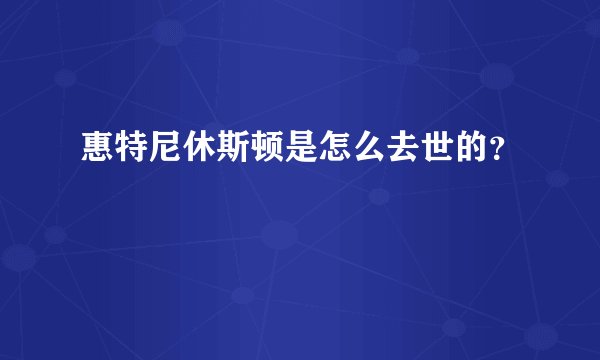 惠特尼休斯顿是怎么去世的?