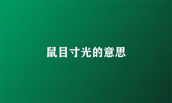 鼠目寸光的意思