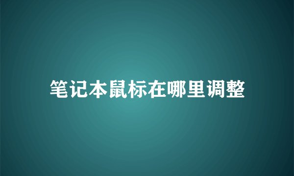 笔记本鼠标在哪里调整