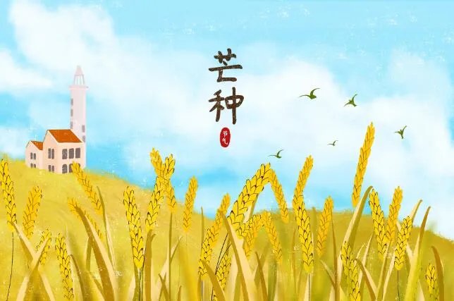 关于芒种有诗意的句子 描写芒种节气的优美句子