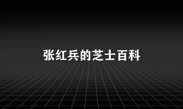 张红兵的芝士百科
