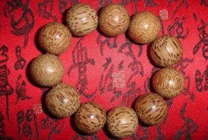 菩提子有哪些种类?菩提子种类大全图片介绍!