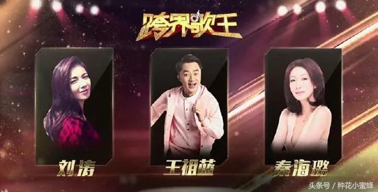 有哪些唱功很好的跨界歌手?