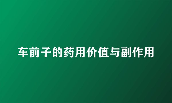 车前子的药用价值与副作用