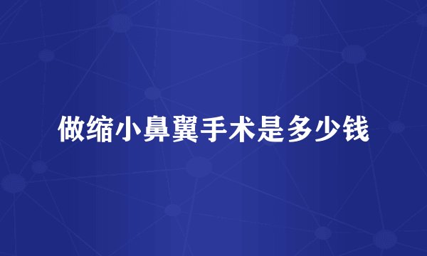 做缩小鼻翼手术是多少钱