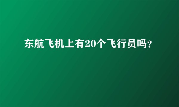 东航飞机上有20个飞行员吗？