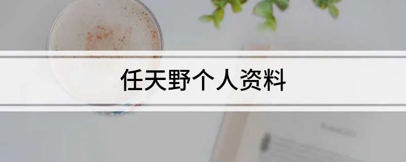 任天野个人资料
