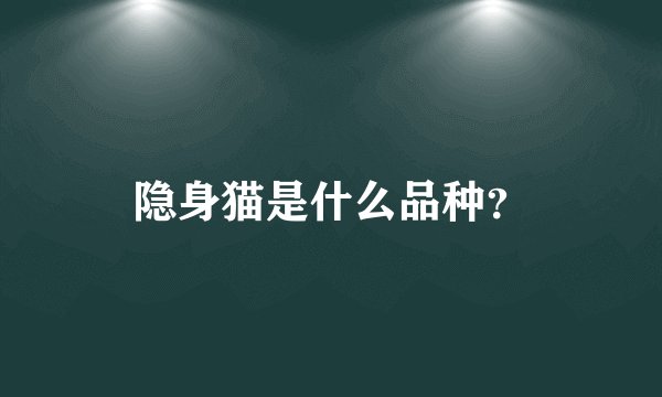 隐身猫是什么品种？